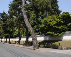 山科区総合庁舎