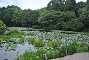 勧修寺
