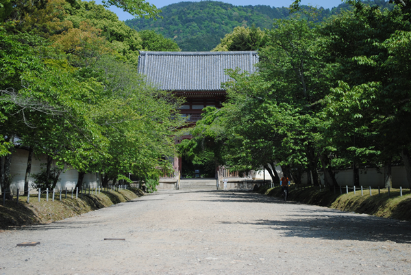 醍醐寺